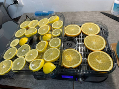 Сушилка для овощей и фруктов Kitfort KT-1918