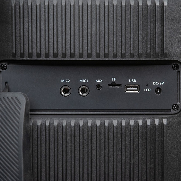 Колонка для вечеринок Dialog Oscar AO-300