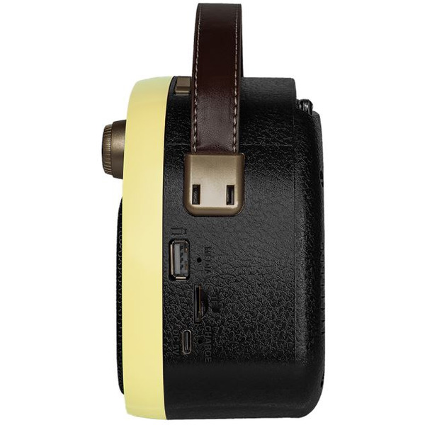 Радиоприемник Ritmix RPR-040 (лимонный)