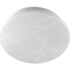 Светильник General Lighting Reed GSMCL-019-24 800258