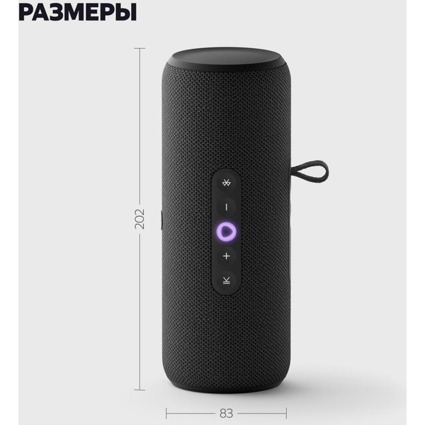 Портативная Умная колонка Яндекс.Станция Стрит YNDX-00030BLK (черный)