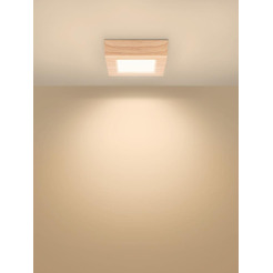 Светильник TDM "Даунлайт" СПО (сосна) 6 Вт 3000К SQ0329-0418