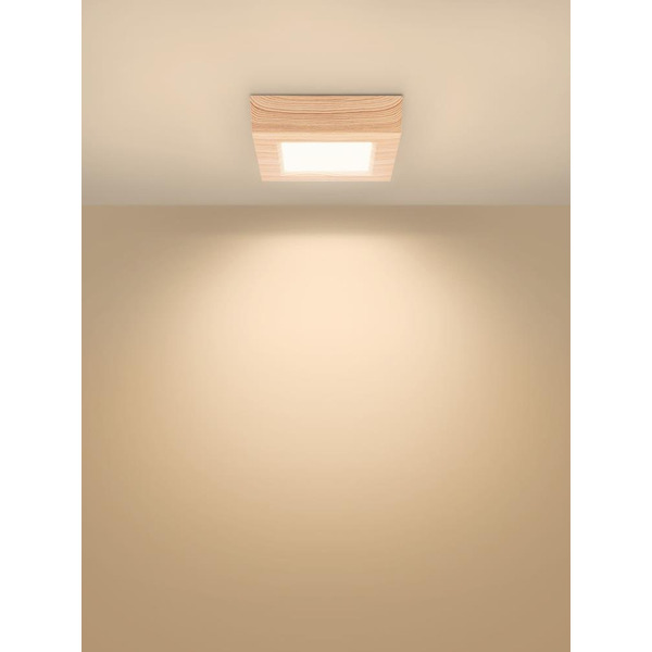 Светильник TDM "Даунлайт" СПО (сосна) 6 Вт 3000К SQ0329-0418