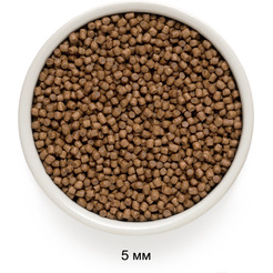 Сухой корм для кошек Grandorf Kitten Lamb&Turkey (400г)