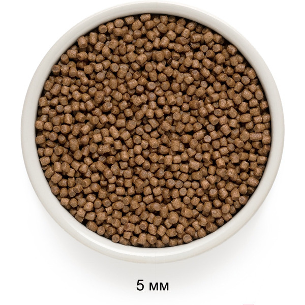 Сухой корм для кошек Grandorf Kitten Lamb&Turkey (400г)