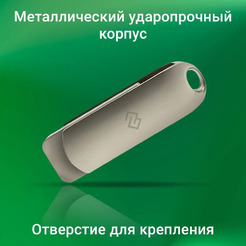 USB flash накопитель Digma DGFUM256A30SR