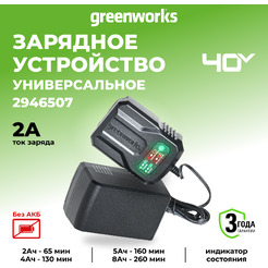 Зарядное устройство Greenworks G40UCM2M 2946507 (40В)