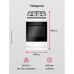 Кухонная плита Hansa FCMW590977