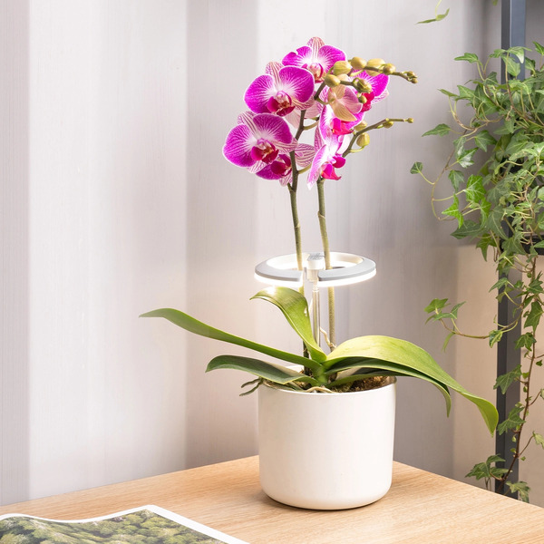Светильник фито Cactus CS-LED-ORCHID