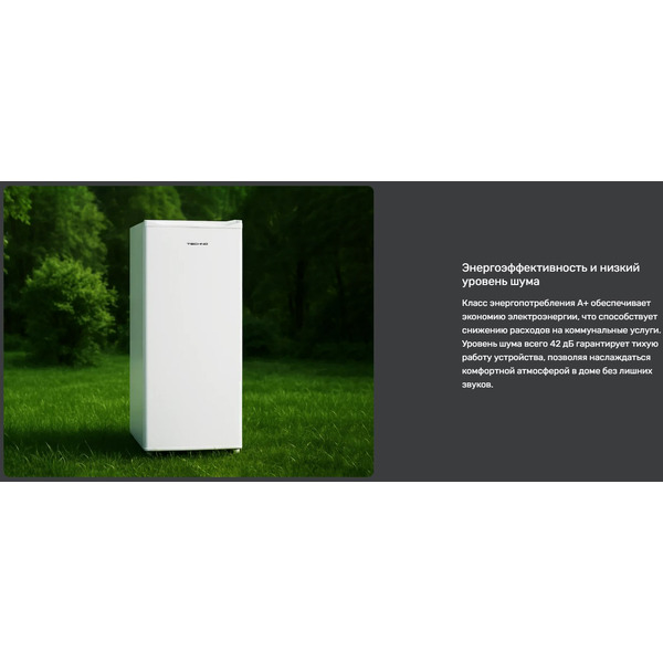 Холодильник TECHNO DF1-20N