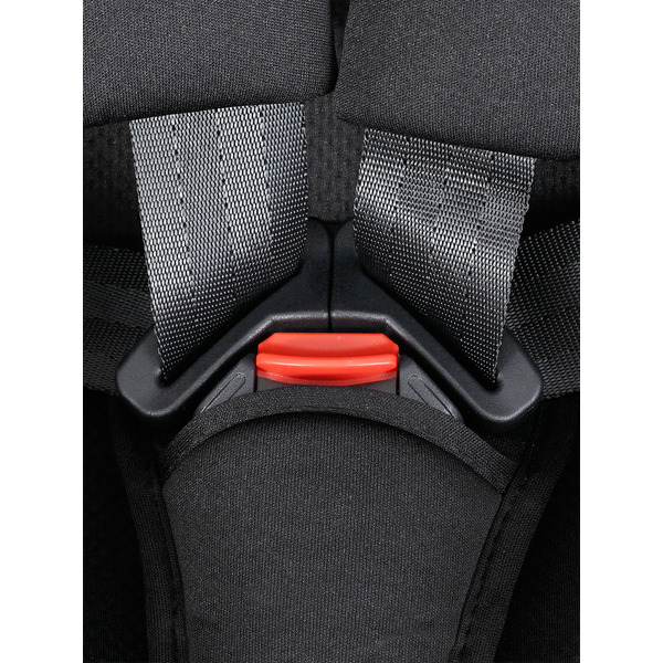 Детское автокресло Rant Spark Next Isofix Basic ZY12 (черный)