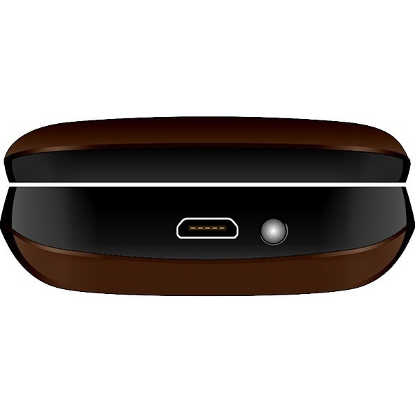 Мобильный телефон Joy's S9 (коричневый)