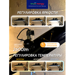 Светильник бестеневой TRUENERGY TASK 32001
