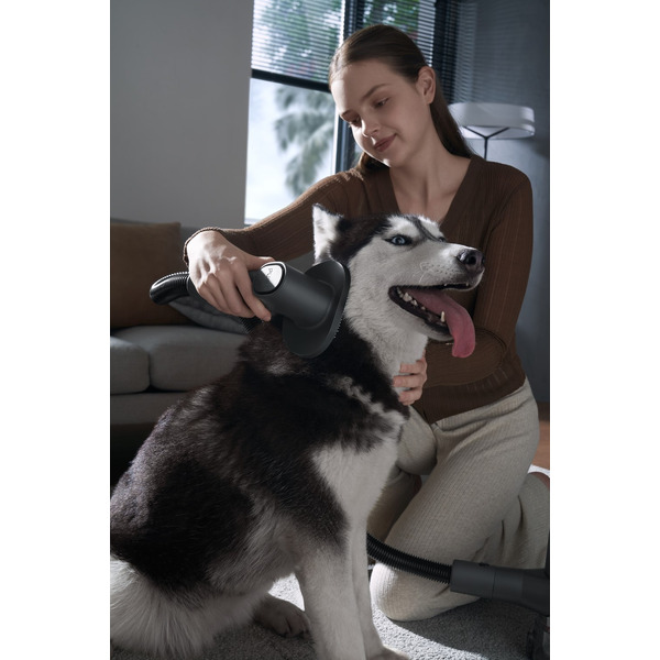 Пылесос Xiaomi Vacuum Cleaner G20 Max (D206) (BHR8828EU)