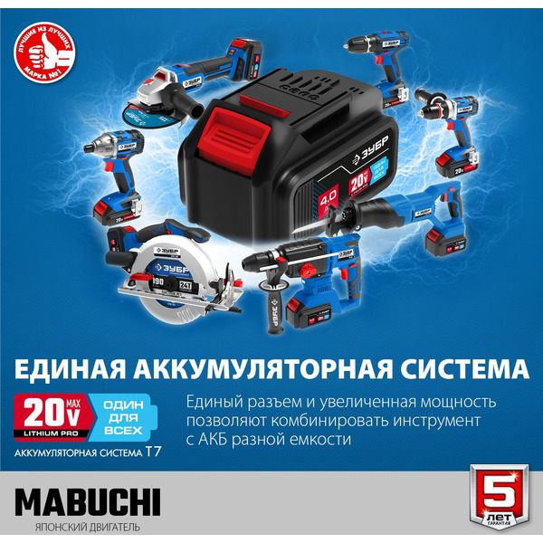 Дрель-шуруповерт Зубр Профессионал DL-201-22 (с 2-мя АКБ 2 Ач, кейс)