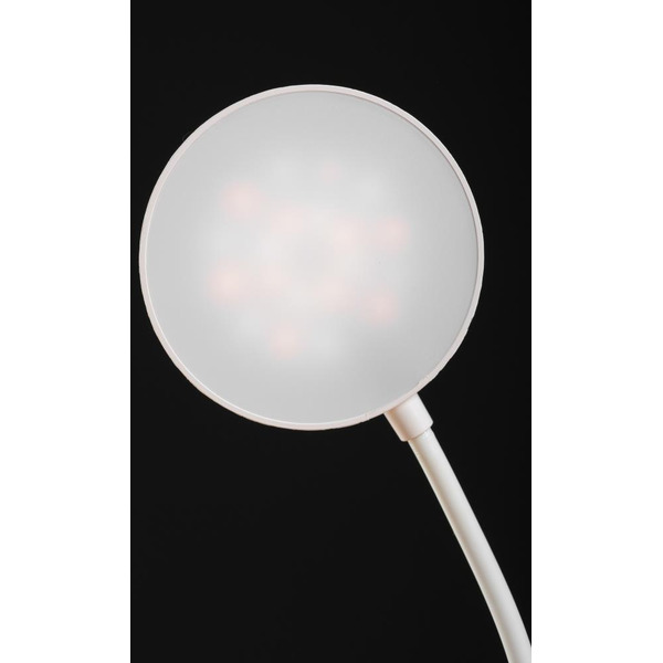 Настольная лампа Sundays Home SM-M793 (белый)