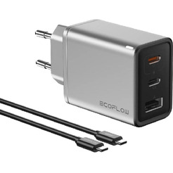 Зарядное устройство EcoFlow RAPID GaN (65 Вт с кабелем 100 Вт)