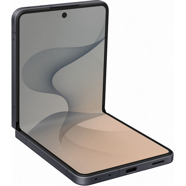 Смартфон Samsung Galaxy Z Flip8 SM-F776 12GB/256GB (графитовый)