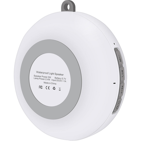 Беспроводная колонка Evolution X1