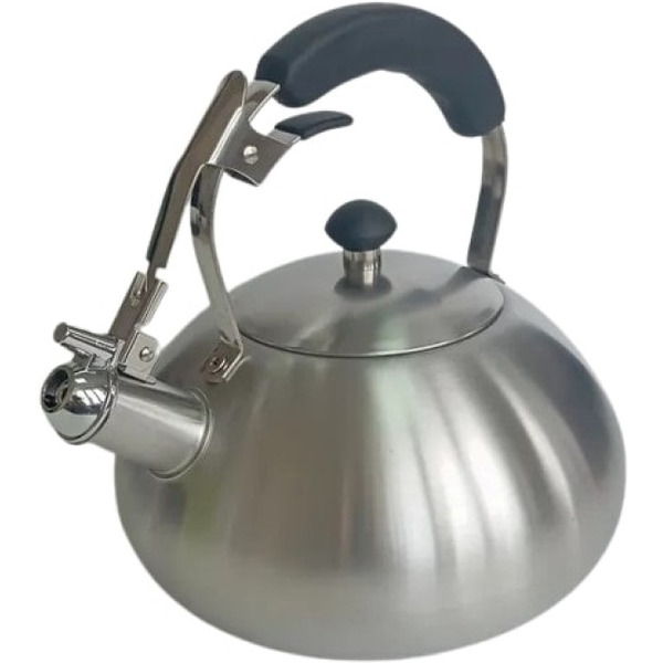 Чайник со свистком ASTIAT AST-1018