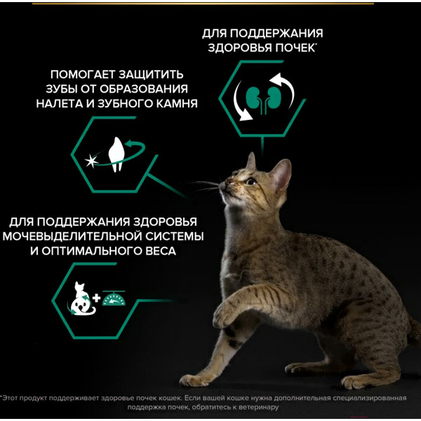 Сухой корм для кошек Pro Plan Sterilised с лососем (400г)