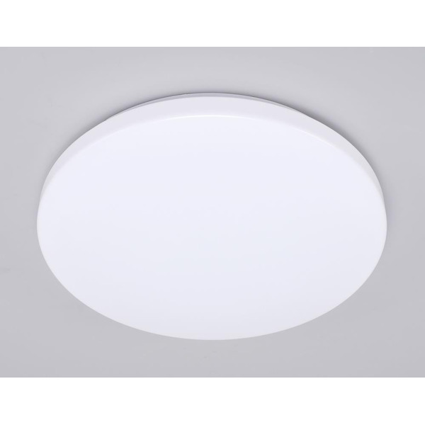 Потолочный светодиодный светильник Ambrella Light FZ1006 WH