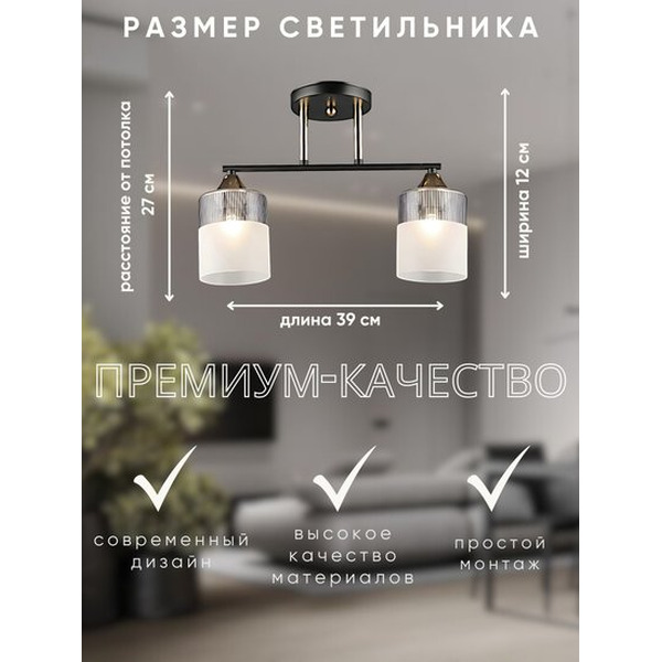 Потолочный светильник Aitin-Pro НПБ 02-2x60-101 / A4409/2 (черный/золото)