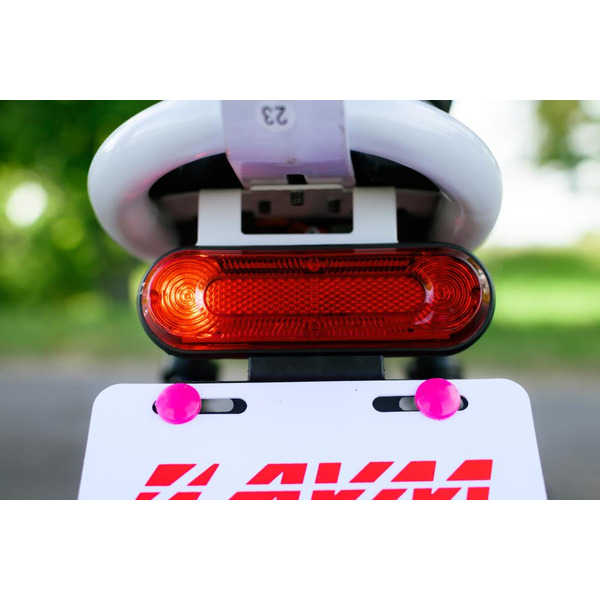 Электровелосипед AVM Delta Lite (красный)