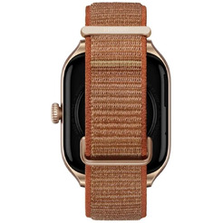 Умные часы Amazfit GTS 4 A2168 (коричневый)