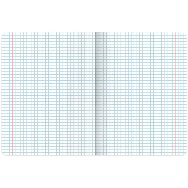 Тетради предметные BRAUBERG 404326 (КОМПЛЕКТ 12 ПРЕДМЕТОВ, 48л, SoftTouch, фольга)