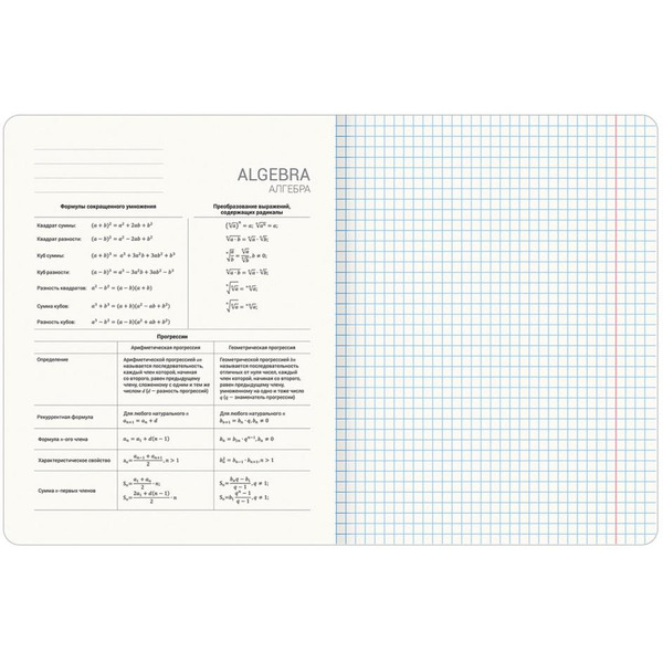Тетради предметные BRAUBERG 404324 (КОМПЛЕКТ 12 ПРЕДМЕТОВ, 48л, глянцевый УФ-лак)