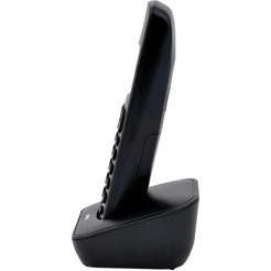 Радиотелефон Sanyo RA-SD53RUBK (черный)