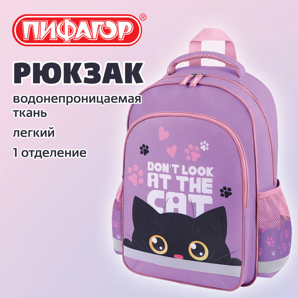 Рюкзак ПИФАГОР Observer cat SCHOOL 274437