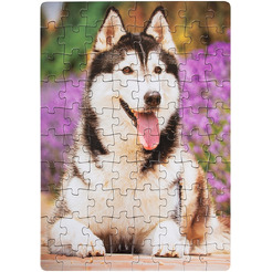 Пазлы DREAM MAKERS Зверята RI8002C