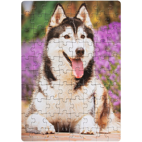 Пазлы DREAM MAKERS Зверята RI8002C