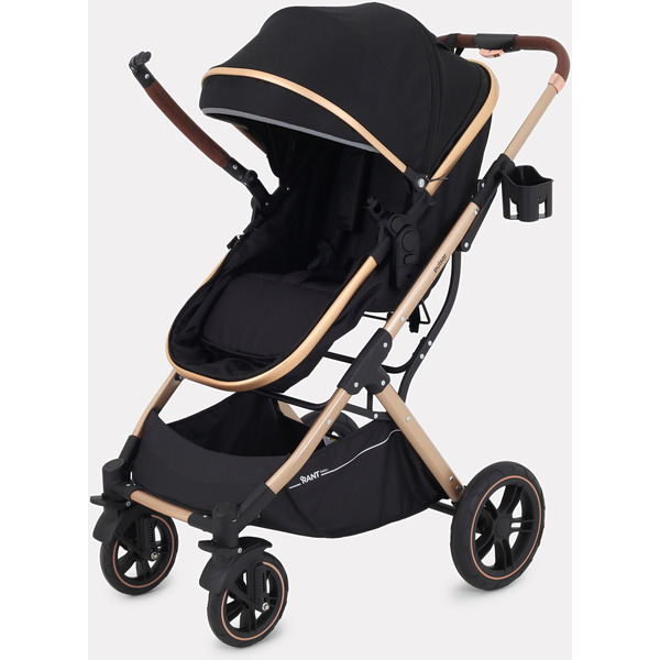 Детская универсальная коляска Rant Basic Pulsar Gold 2 в 1 RA160 (черный)