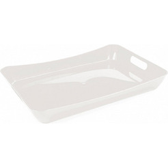 Поднос Berossi ИК 42833000