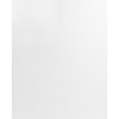 Холст для рисования BRAUBERG Art Premiere 190641