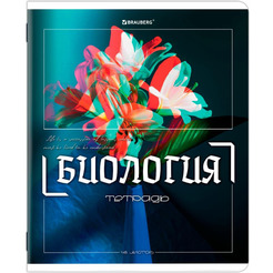 Тетради предметные BRAUBERG 405170 (КОМПЛЕКТ 12 ПРЕДМЕТОВ, 48л, глянцевый УФ-лак)