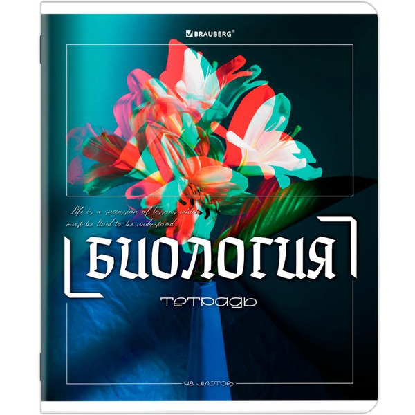 Тетради предметные BRAUBERG 405170 (КОМПЛЕКТ 12 ПРЕДМЕТОВ, 48л, глянцевый УФ-лак)