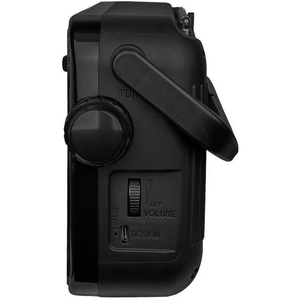 Радиоприемник Ritmix RPR-303