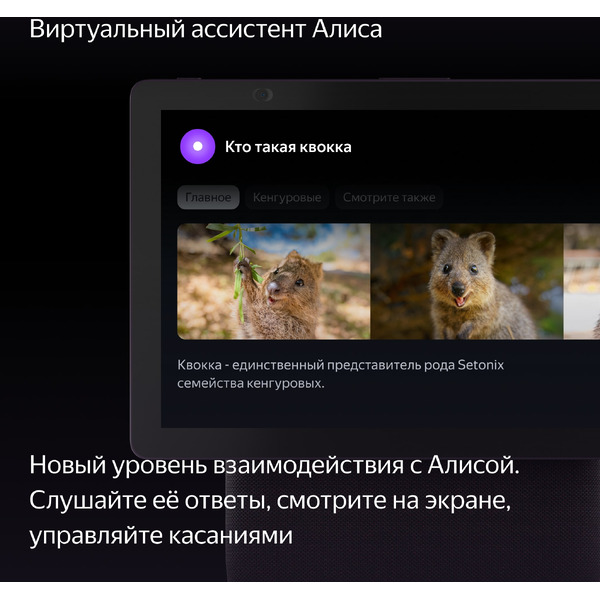 Умная колонка Яндекс Станция Дуо Макс (YNDX-00055RED) бордовый