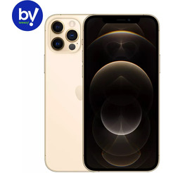 Смартфон Б/У (грейд В) Apple iPhone 12 Pro 256GB Gold (2BMGMR3)