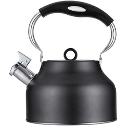 Чайник со свистком Regent Inox 93-TEA-49