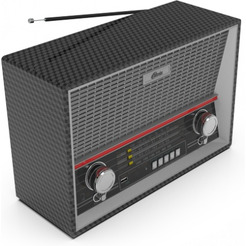 Радиоприемник RITMIX RPR-102 (карбон)