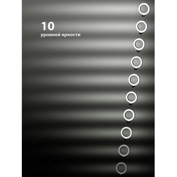 Лампа кольцевая TDM SQ0373-0301