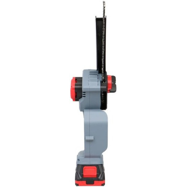 Набор инструментов Profipower ProfiSet-2D20 (воздуходувка, цепная пила)