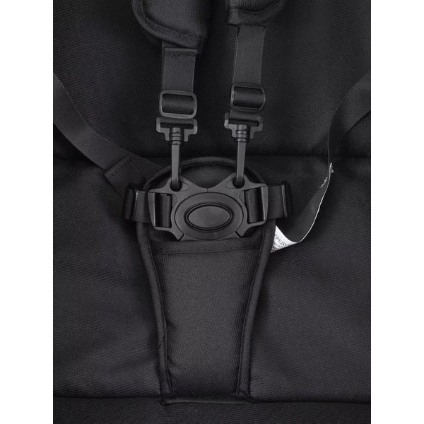 Детская коляска Rant Basic Pulsar 2 в 1 RA160 (Black)