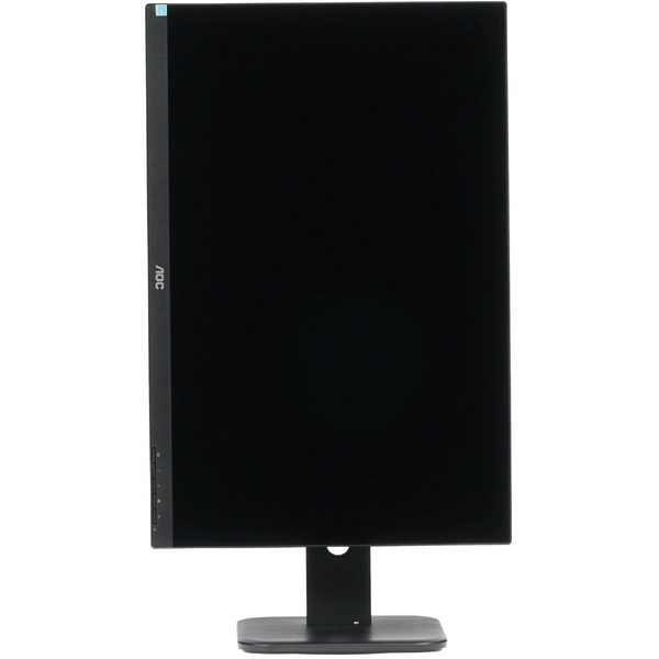 Монитор AOC X24P1