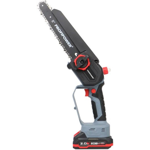 Набор инструментов Profipower ProfiSet-2D20 (воздуходувка, цепная пила)